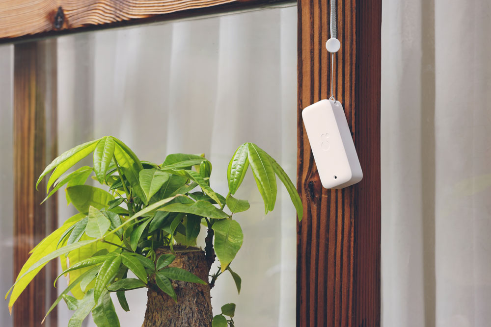 Amazon | ゼンスイ Fog(フォグ) 爬虫類・植物加湿器 | ゼンスイ